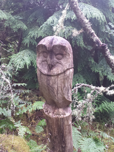Sleat Wood Owl