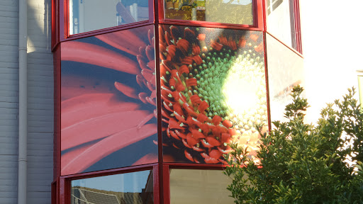 Second Red Flower Mural