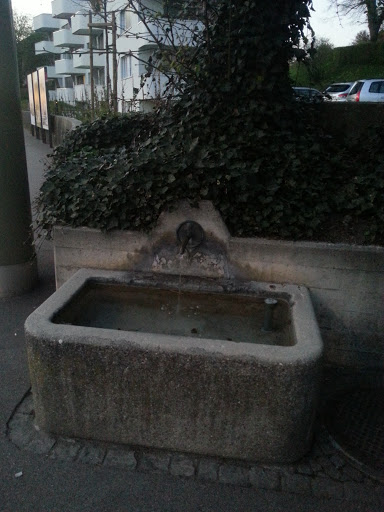 Brunnen Wolfensbergstrasse