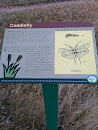Caddisfly Marker