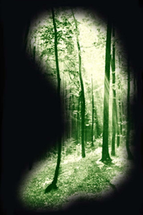 How to install Tyrael 1.1.7.1 unlimited apk for pc