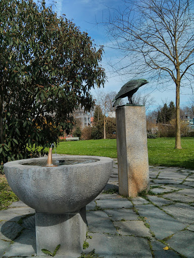Fountain with Raven near Bad Allenmoos