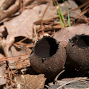 Devil's Urn