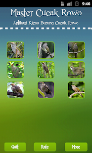 How to install Straw-headed Bulbul 1.1 unlimited apk for pc