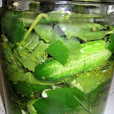 Kittencal's Easy Refrigerator Kosher Garlic-Dill Pickles
