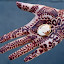 by Alan  Weiner - Wedding Other