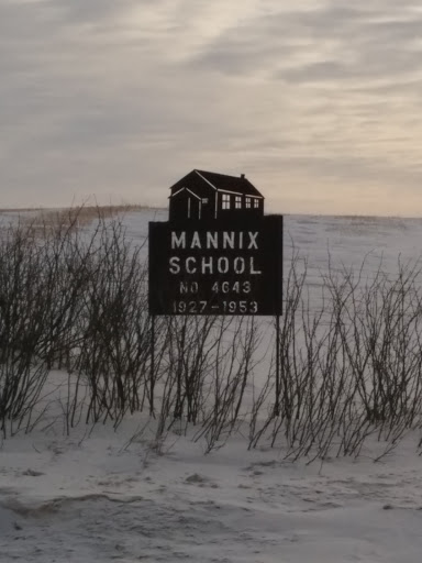 Mannix School