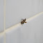 Small Moth?
