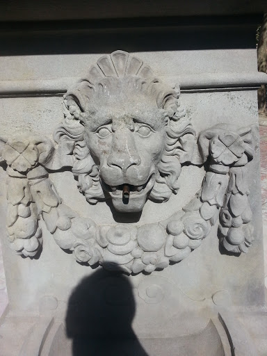 Fontaine De Lion