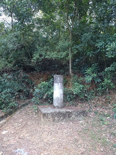 上清潭灌溉水塘 三角網測站