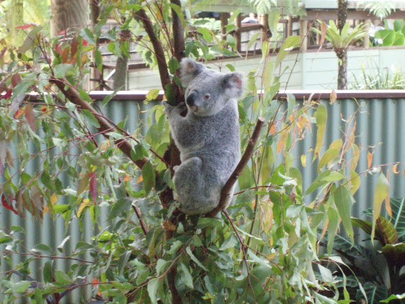 Spotting Image 1