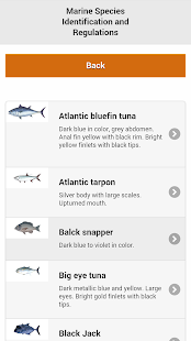 How to get US Caribbean Fishery Regs. patch 3.0.0 apk for laptop