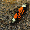 common postman