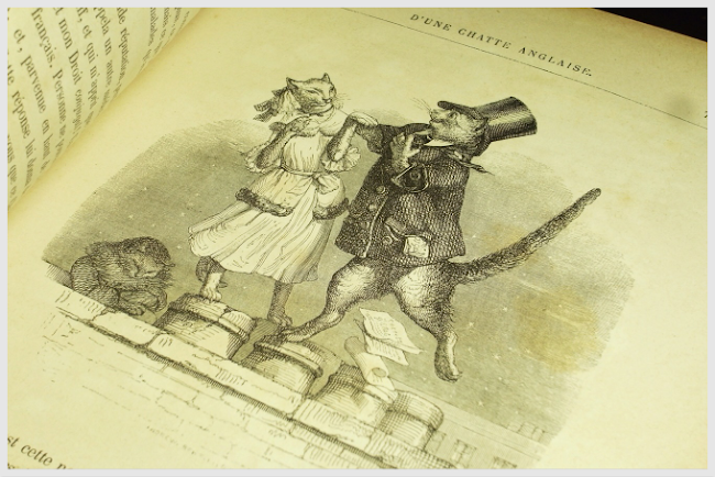 J.J.Grandville/Vie Privee et Publique Des Animaux 動物たちの