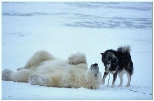 [clip_image006[4].jpg]