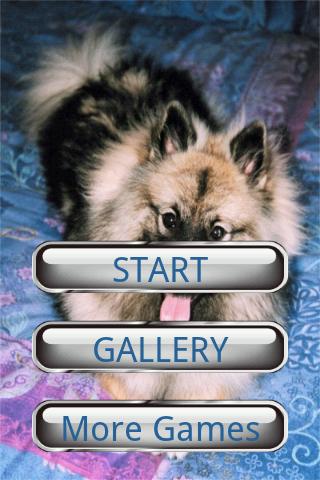 Dog Puzzle: Keeshond