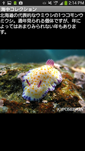 How to download 北海道の海～積丹～海中散歩 1.0 unlimited apk for bluestacks