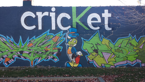 Cricket Mural