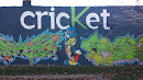 Cricket Mural