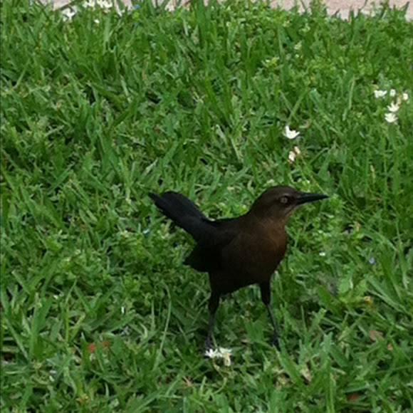 Spotting Image 1