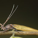 Hopper for ID