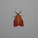 Rosy Footman