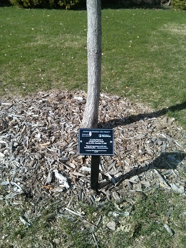 Andrew Kuhn Memorial Tree