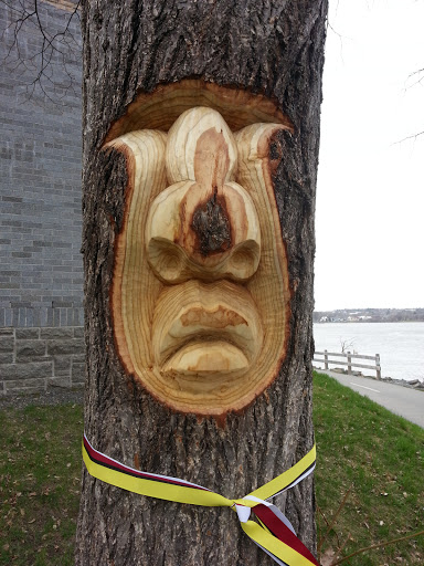 The Spirit in the Tree