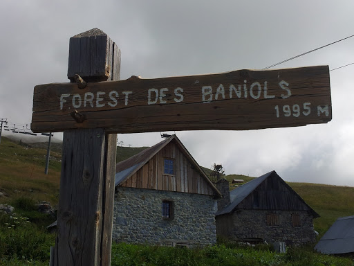 Forest Des Baniols