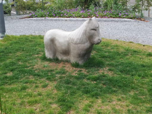 Concrete Pony