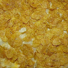 Amy's Hash Browns Casserole