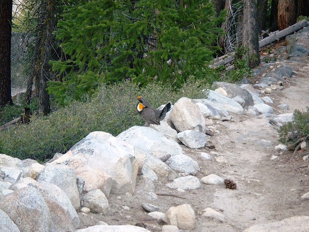 [DSCN4325%2520-%2520Kopie%255B5%255D.jpg]