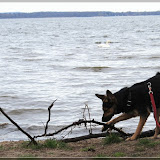 Tamy rettet einen Ast aus dem See *g*