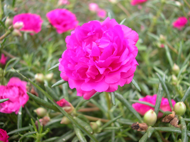 [image%255B19%255D.png]