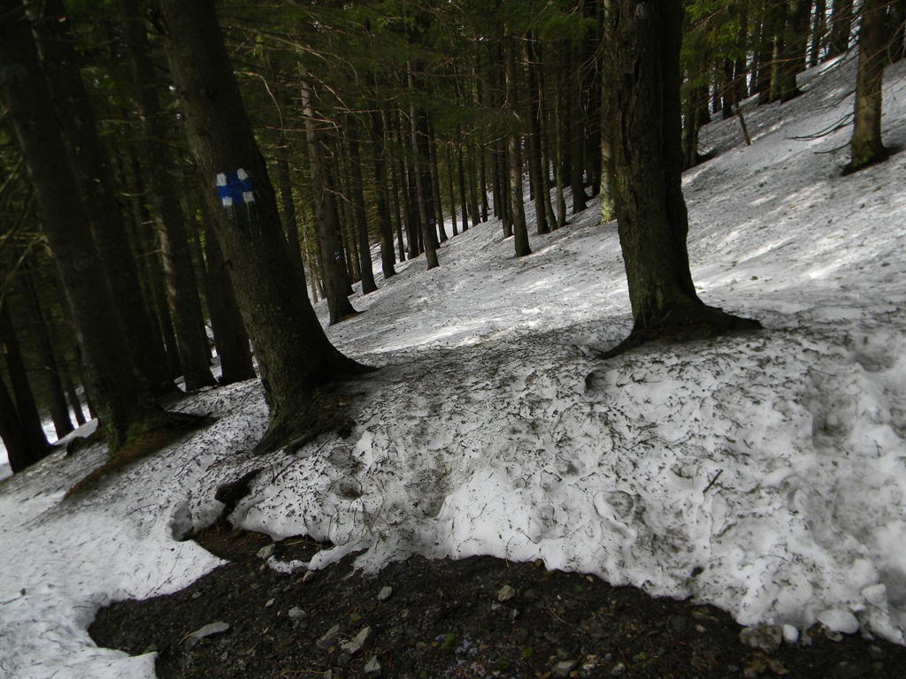 [DSCN65283.jpg]