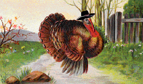 Cowboy turkey
