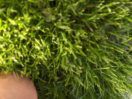 How Tommasino's Got Me Back In