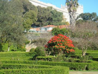 Jardim-Botanico-da-Ajuda.jpg