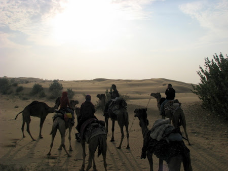Desert Safari India