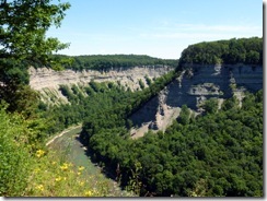 Genesee River Gorge at Letchworth State Park NY