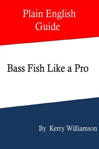 Bass Fish Like a Pro