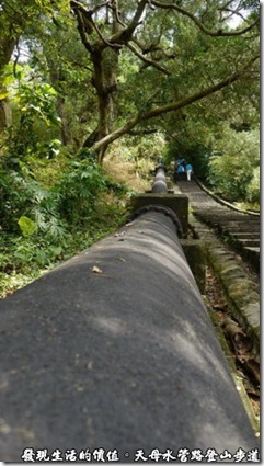 天母水管路登山步道旁的黑色大水管