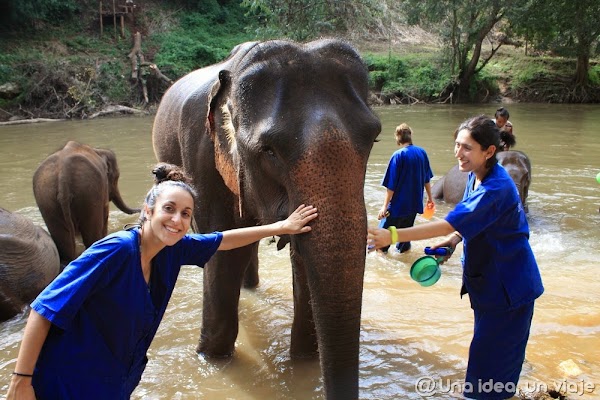 elefantes-negocio-tailandia-montar-unaideaunviaje.com-2.jpg