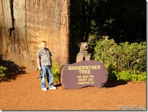 Oct 23, 2012: The great-grandfather next to the Granfather Tree