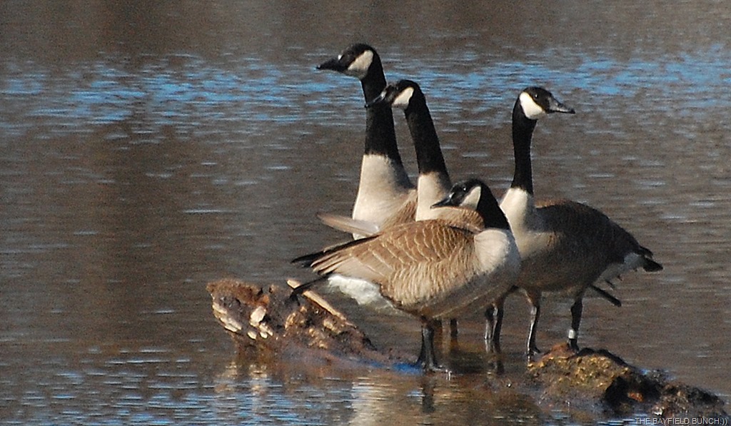 [DSC_3890%255B4%255D.jpg]