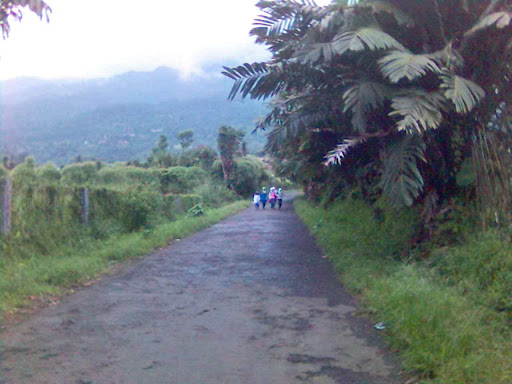 kader loth