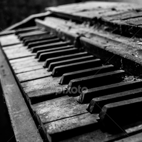 Old Piano by Nina Kriznic - Black & White Objects & Still Life