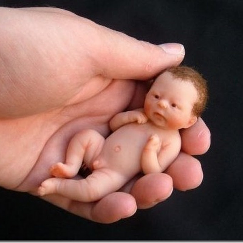 Galería de bebes que caben en la palma de la mano