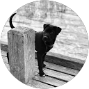 Image Google de Bouthet Alexia