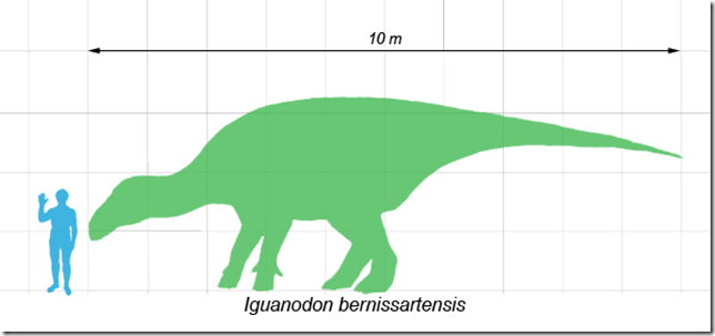 Iguanodon_scale